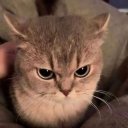 witcherr adlı kullanıcı